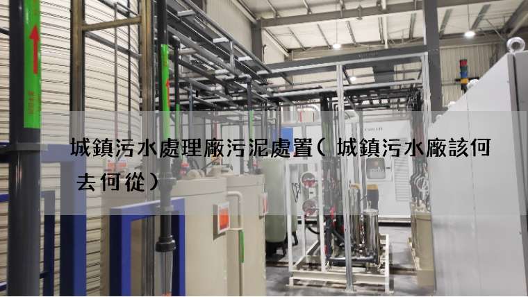 城鎮污水處理廠污泥處置(城鎮污水廠該何去何從)